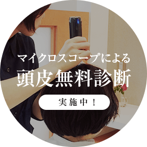 頭皮診断実施中